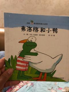 294.夏天和妈妈→青蛙弗洛格《弗洛格和小鸭》