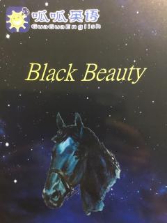 Black Beauty  1