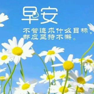 周炜-《致良知》