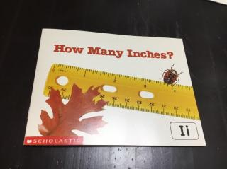 How Many Inches?