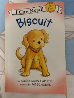 Biscuit