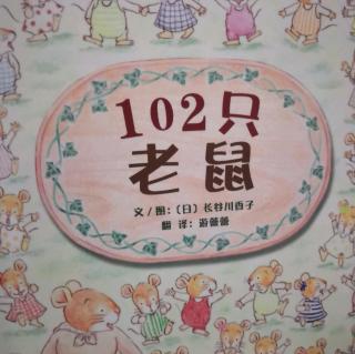 102只老鼠🐭