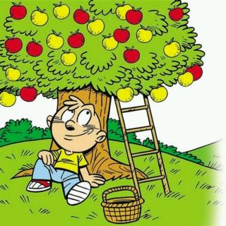 睡前故事：小男孩和苹果树
