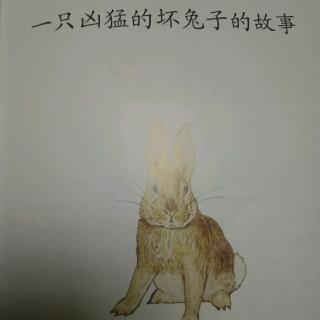 一只凶猛的坏兔子的故事