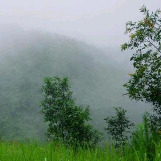 《山雨☔️》