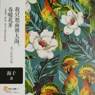 第229天为你读诗之海子《面朝大海，春暖花开》