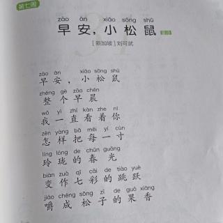 《早安，小松鼠》