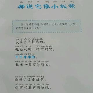 都说它像小板凳