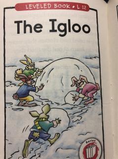 the igloo