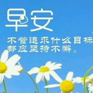 宋侠-《给儿子的一封信》