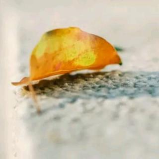 阔的海 现代-徐志摩