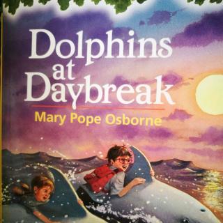 神奇树屋 Dolphins At Daybreak(1)