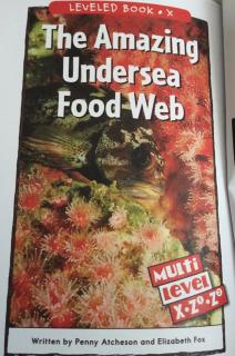 The Amazing Undersea Food web1️⃣2️⃣3️⃣