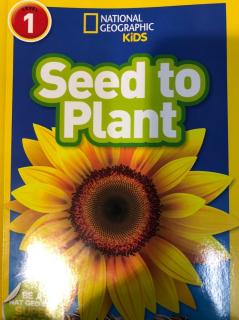 Seed to Plant