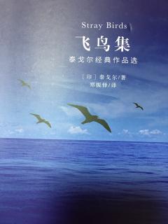 泰戈尔经典作品选《飞鸟集》02～06