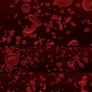第二章血细胞发生详细概述，输血、输血种类及输血原则