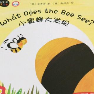 What Does the Bee See?