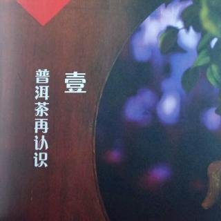 《普洱茶论》黄刚