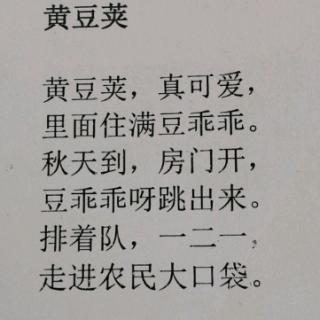 日有所诵黄豆荚