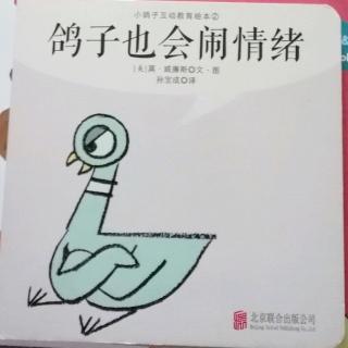 鸽子也会闹情绪