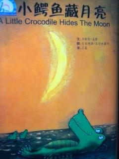 李思语点播：小鳄鱼🐊藏月亮🌙