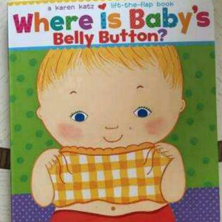 where Is baby's belly button?