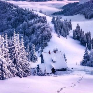 《雪》中庸，大道