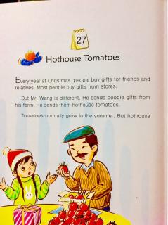 11-27 🍅Hothouse Tomatoes