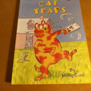 Cat  Traps