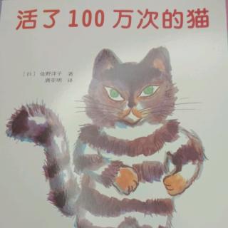 活了100万次的猫