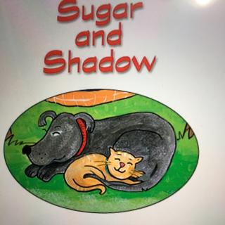 360 Sugar and Shadow