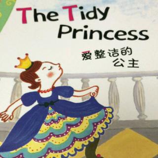The Tidy Princess