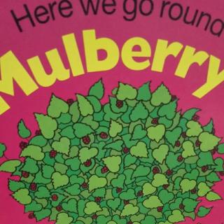 The Mulberry Bush--李娜