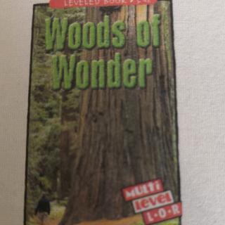 Wood of Wonder