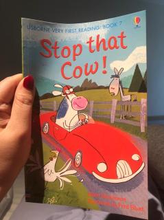 20190129 stop that cow1