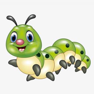 我是一只小虫子