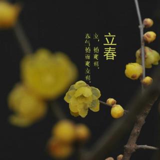 【小鱼姐姐讲24节气】--立春