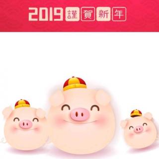 🌺2019年——致老师的新年祝福