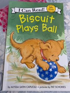 Biscuit plays ball