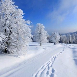 明月千里     疯雪