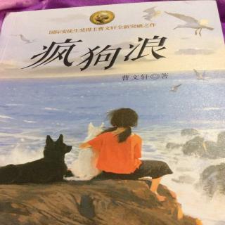 疯狗浪     第一章  流浪狗的王国（上）