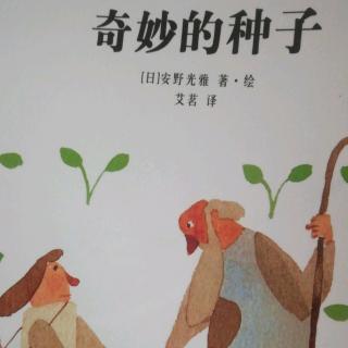 奇妙的种子