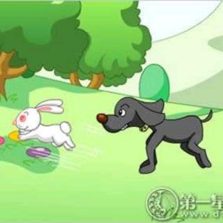 诚实的小兔子🐰