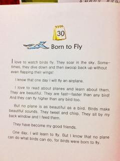 11-30 🕊Born to Fly