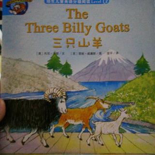英语绘本《三只山羊》