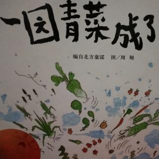 《一园青菜成了精》