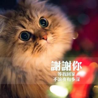 感恩，以新年的名义