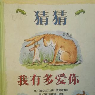 21.绘本故事：猜猜我有多爱你（小韩）