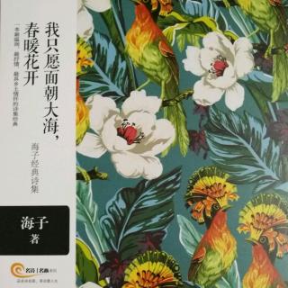 第235天为你读诗之海子《美丽的白杨树》