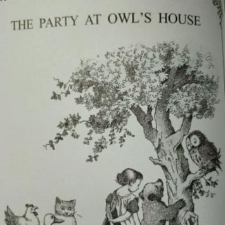 The party at owl’s house